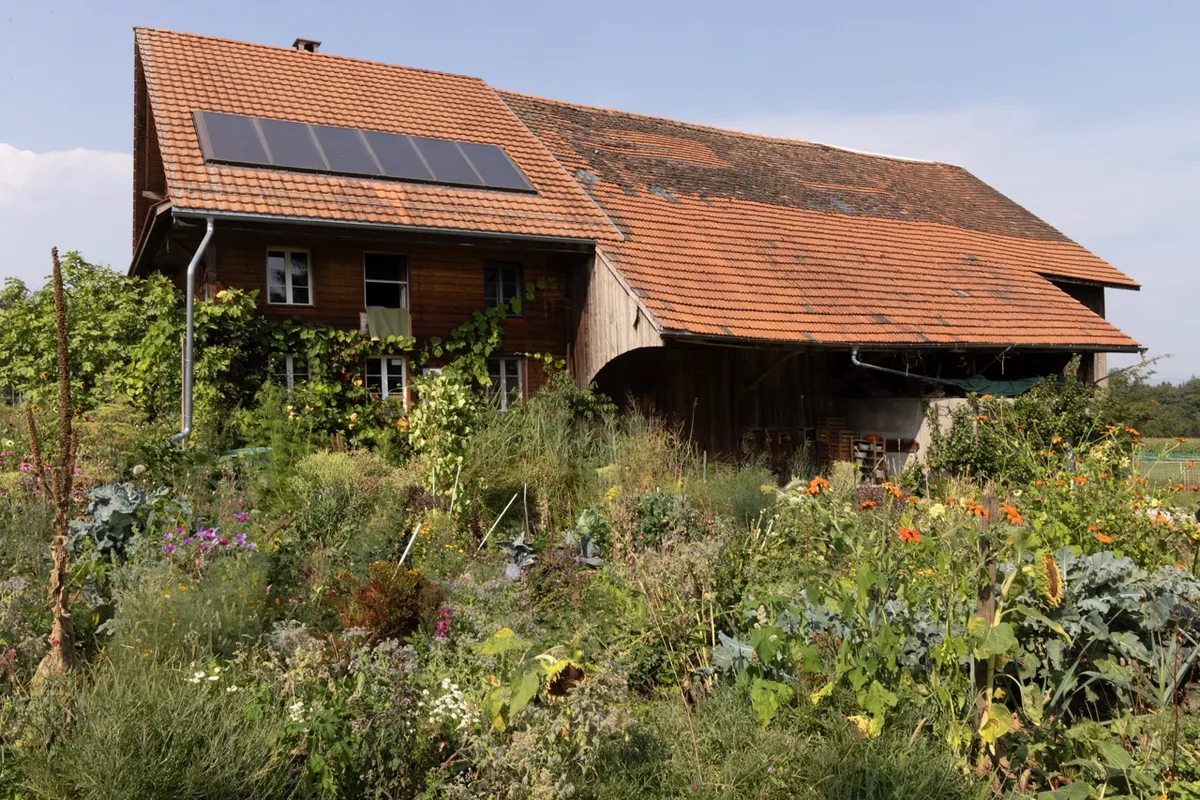 Ansicht von Weissenbach 303